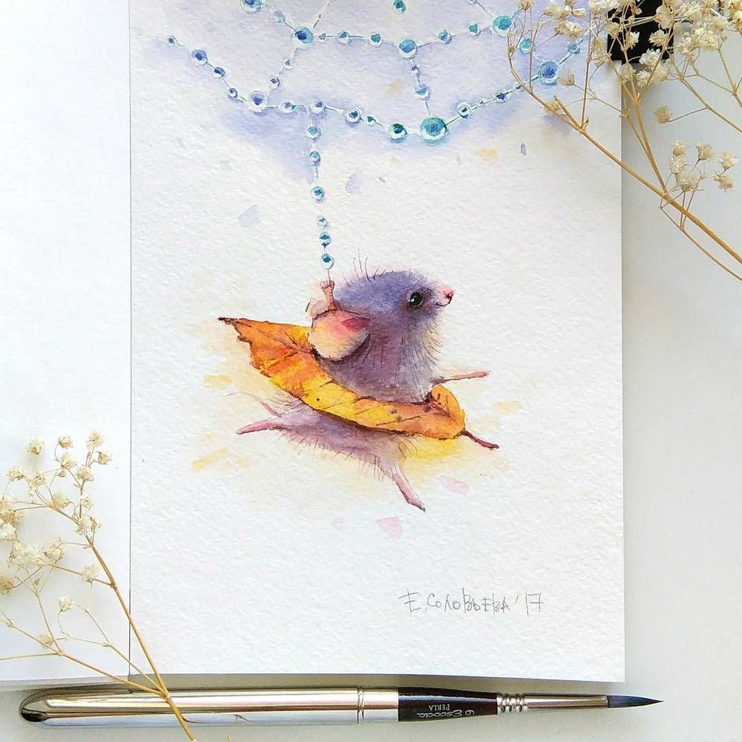 Евгения Соловьева (@genechka_djogan)