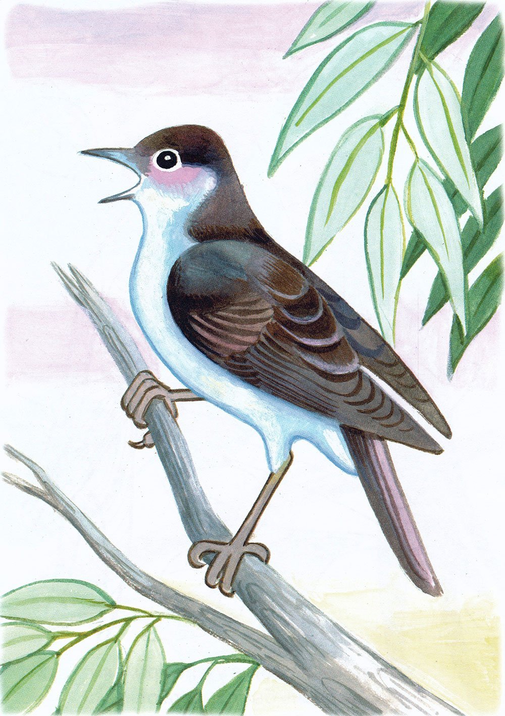 Символ соловья