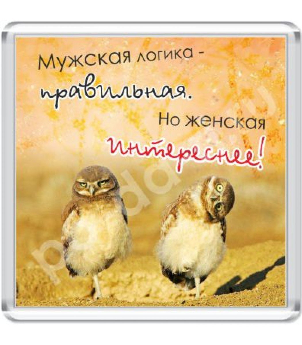 Мужская логика