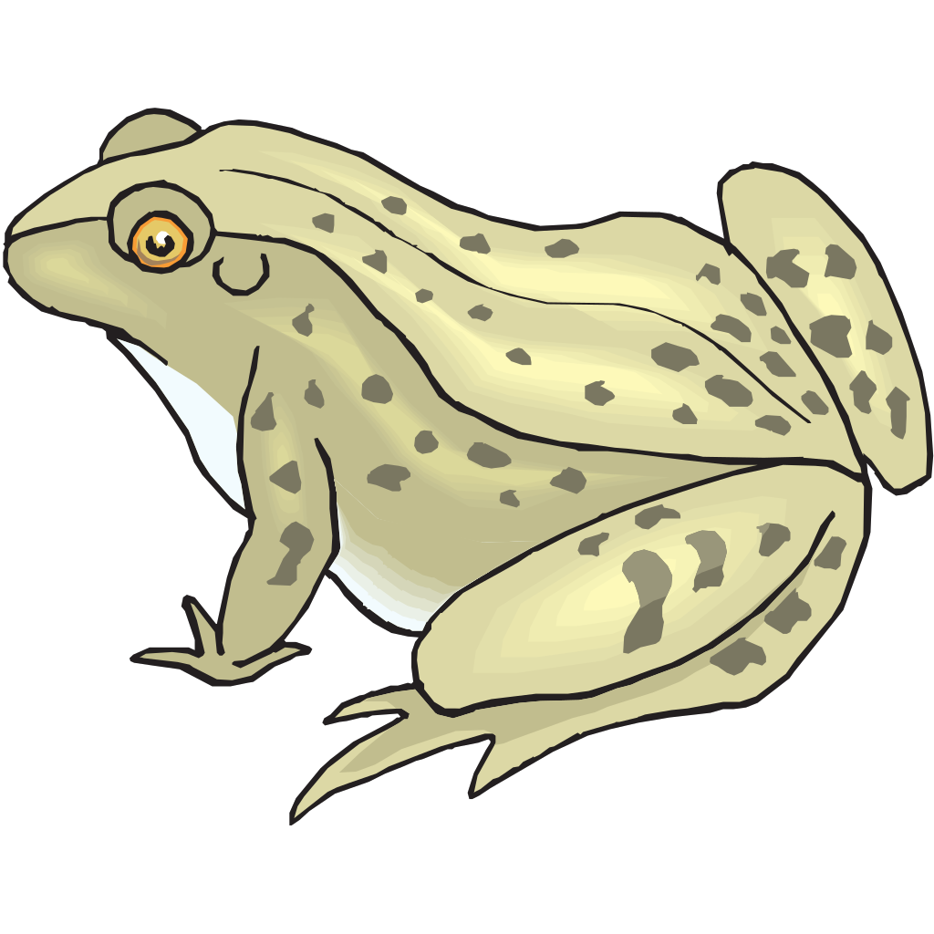 Лягушки мультяшные