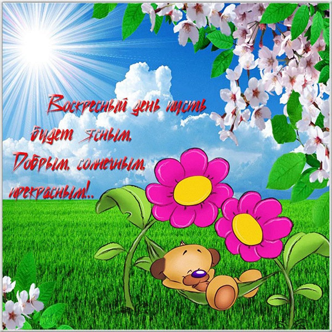 Доброго воскресного утра и хорошего