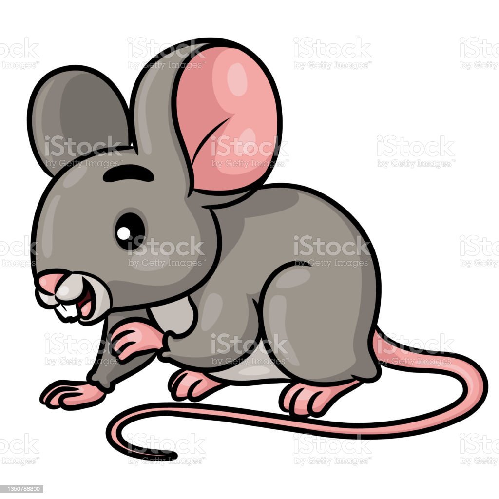 Grey Mouse cute