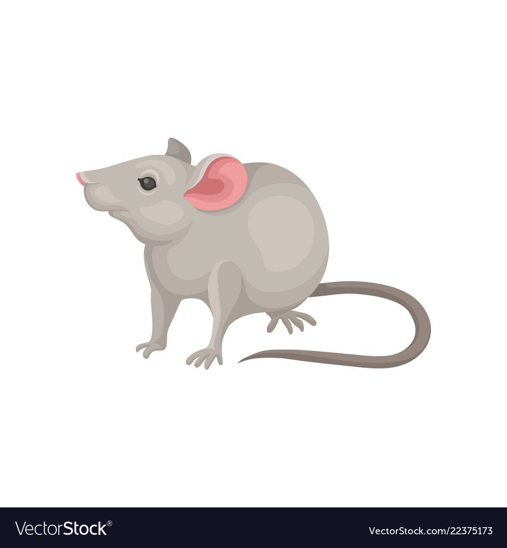 Серая мышь вектор