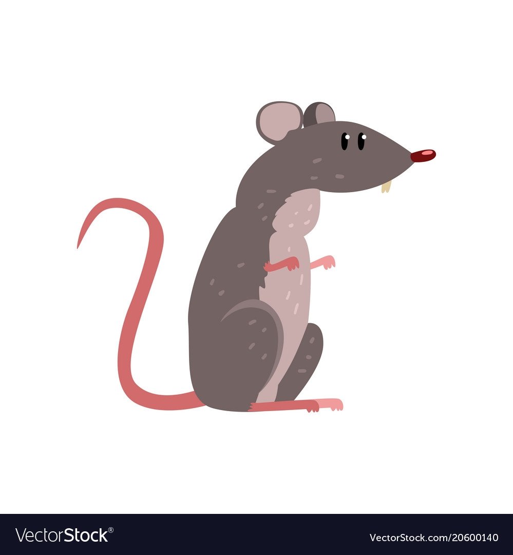 Серая мышка картинка для детей