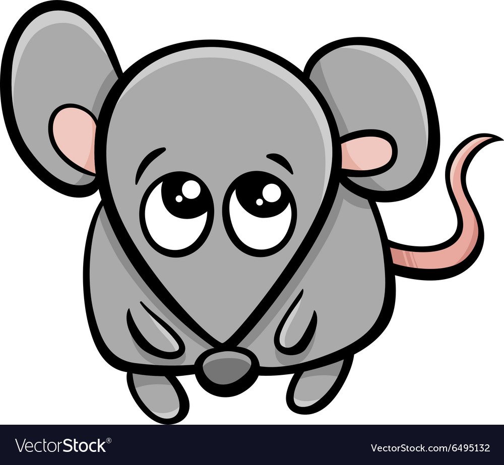 Четыре крысы на белом фоне