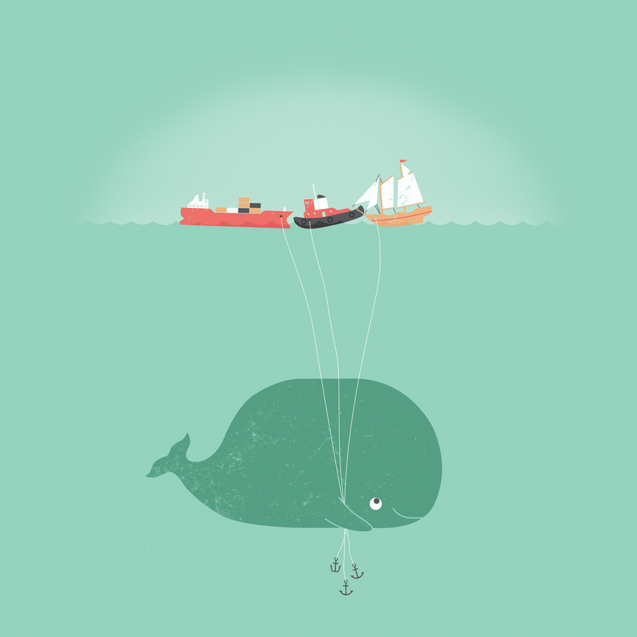 Киты Минимализм