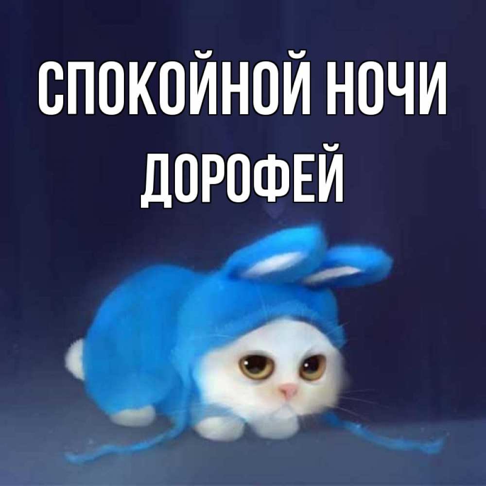 Прикольные пожелания спокойной ночи