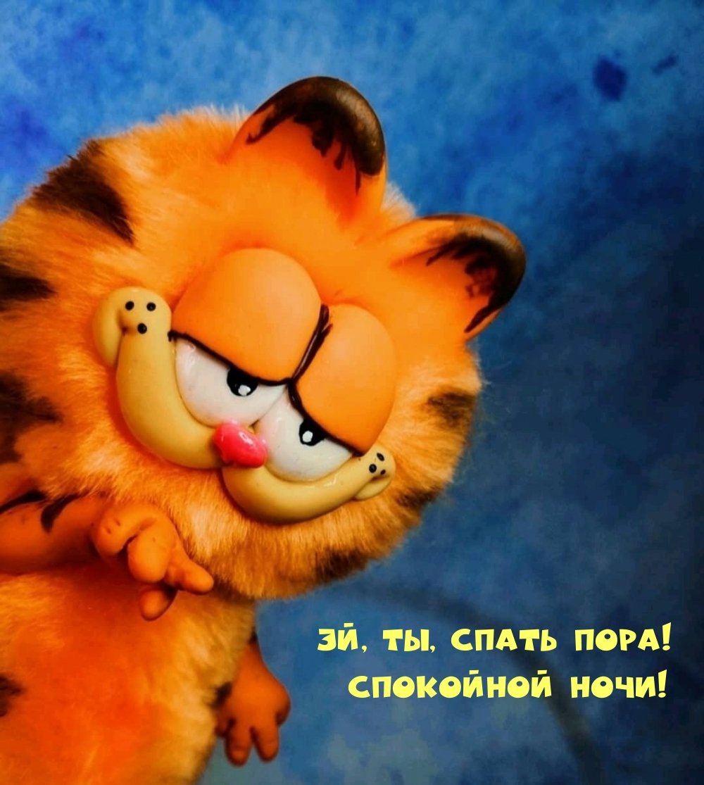 Спокойной ночи, Медвежонок!