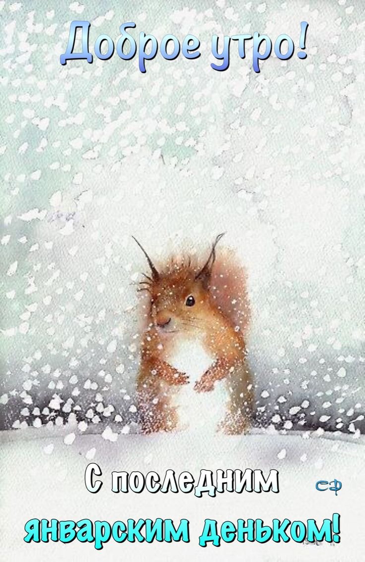 Доброе утро зима