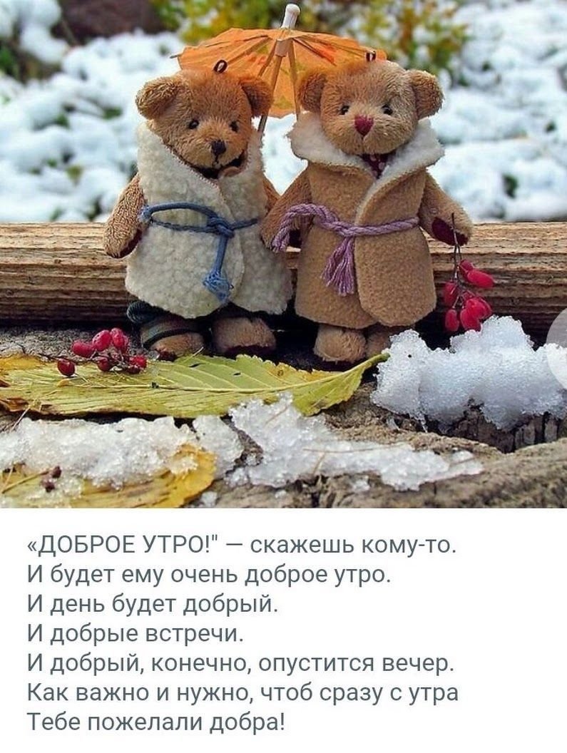 Позитивные цитаты про утро