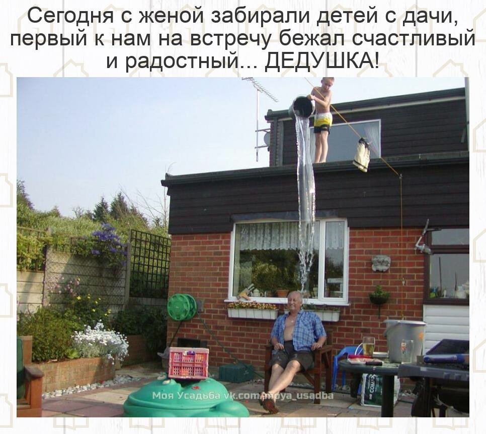 Внуки приехали кот