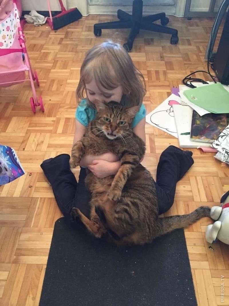 Юмор внуки уехали