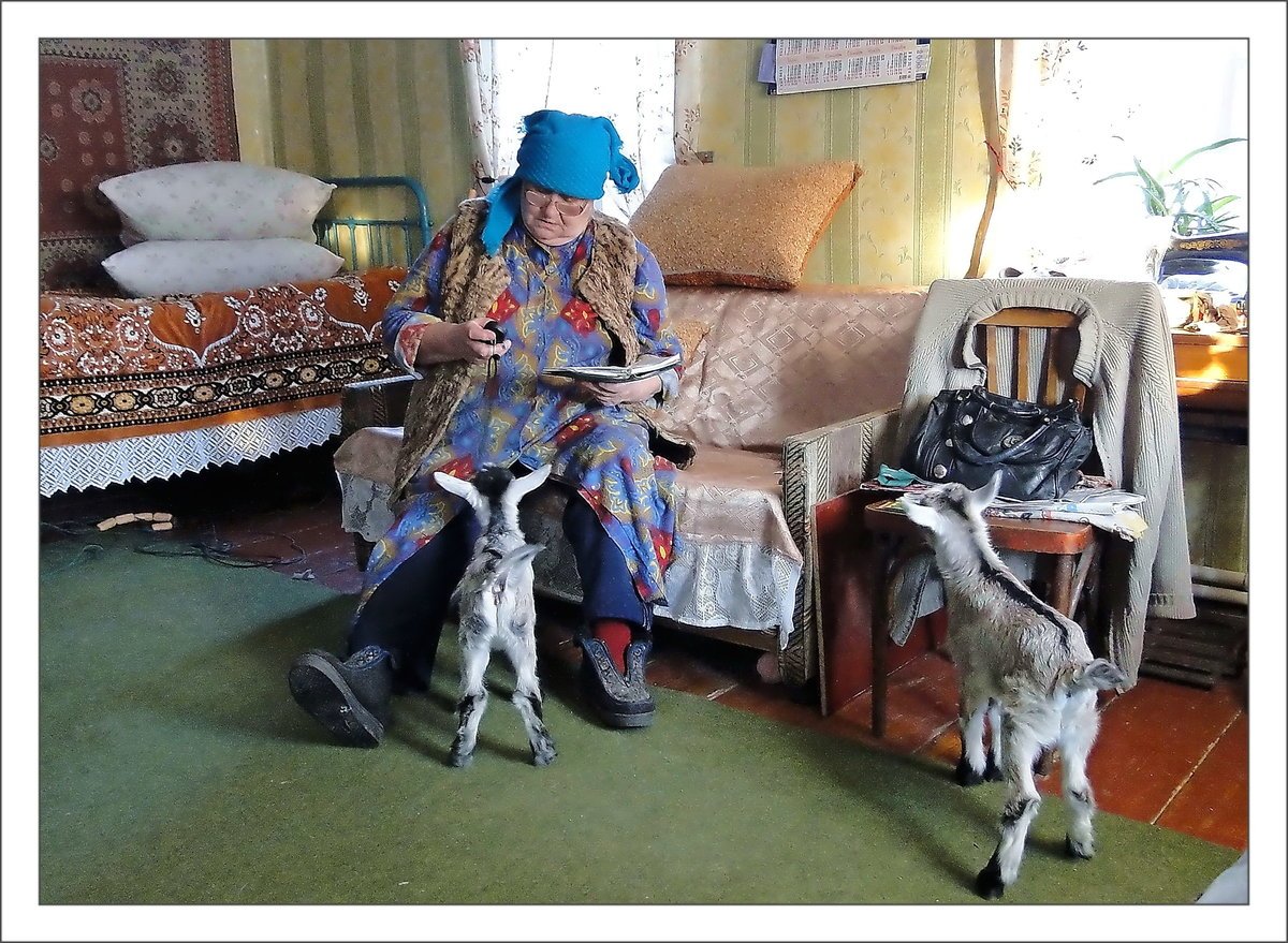 Добрый юмор в картинках животные с надписями