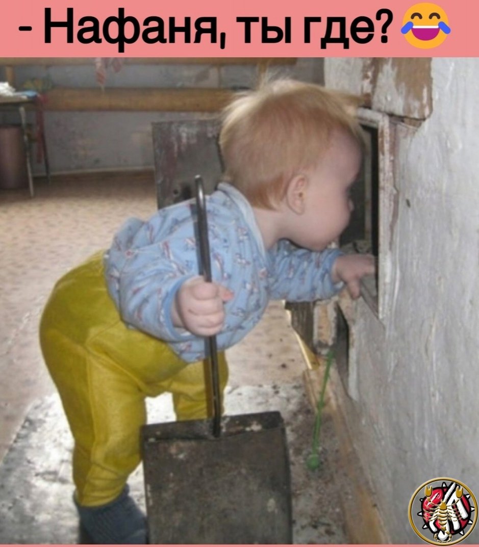 Кот радуется пятнице