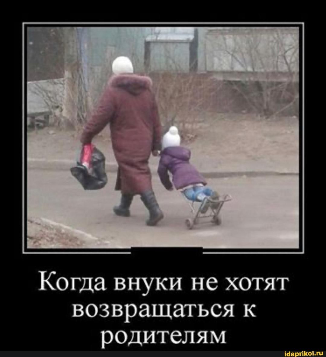 Кот ползет по стене