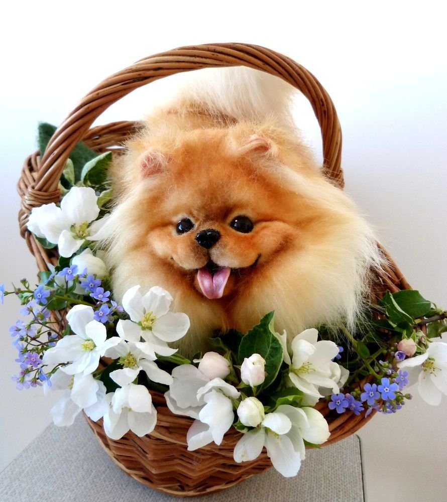 Подруги рисунок