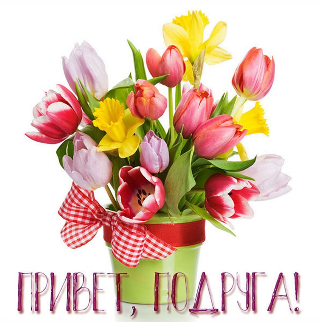 Привет из тюльпанов