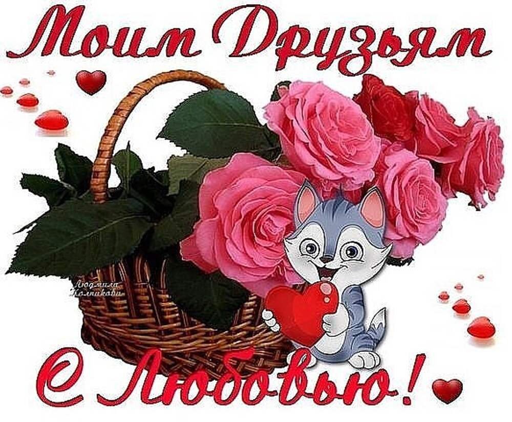 Тёплый дружиский привет