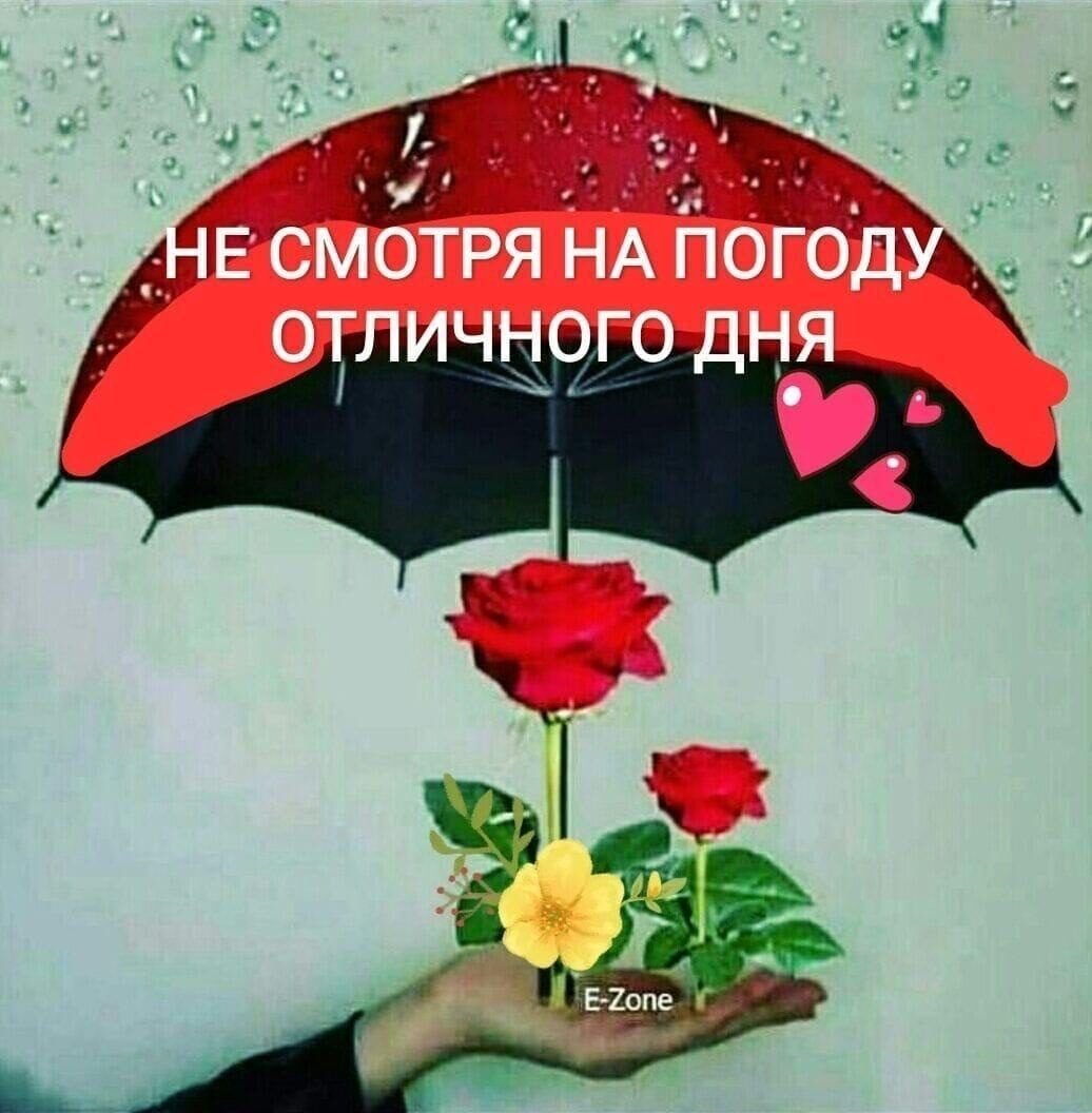 Завтрак хюгге