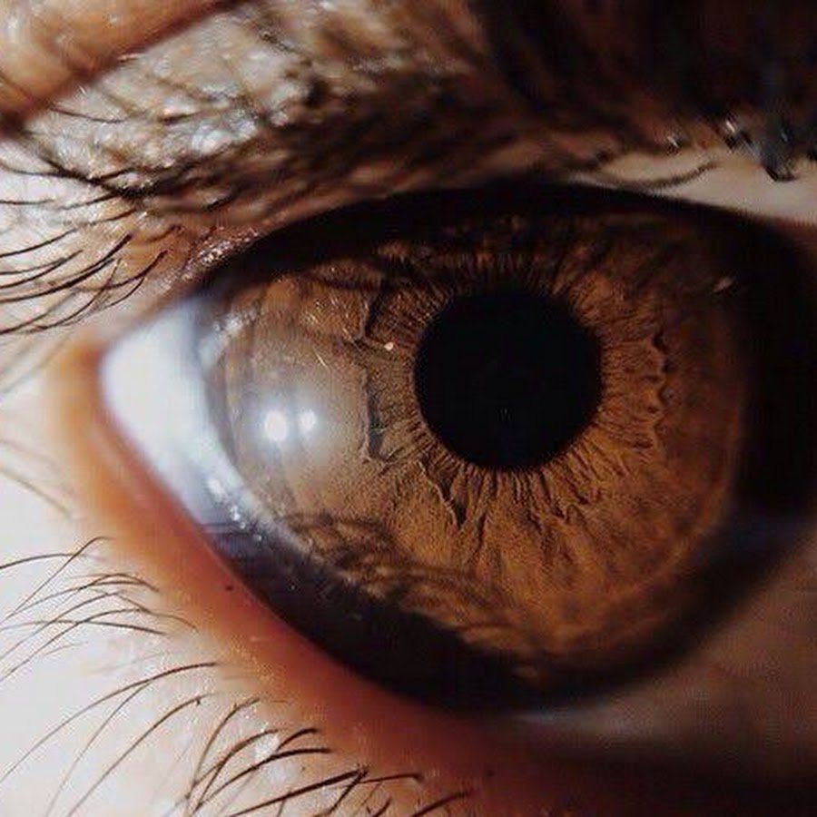 Тёмно карие глаза