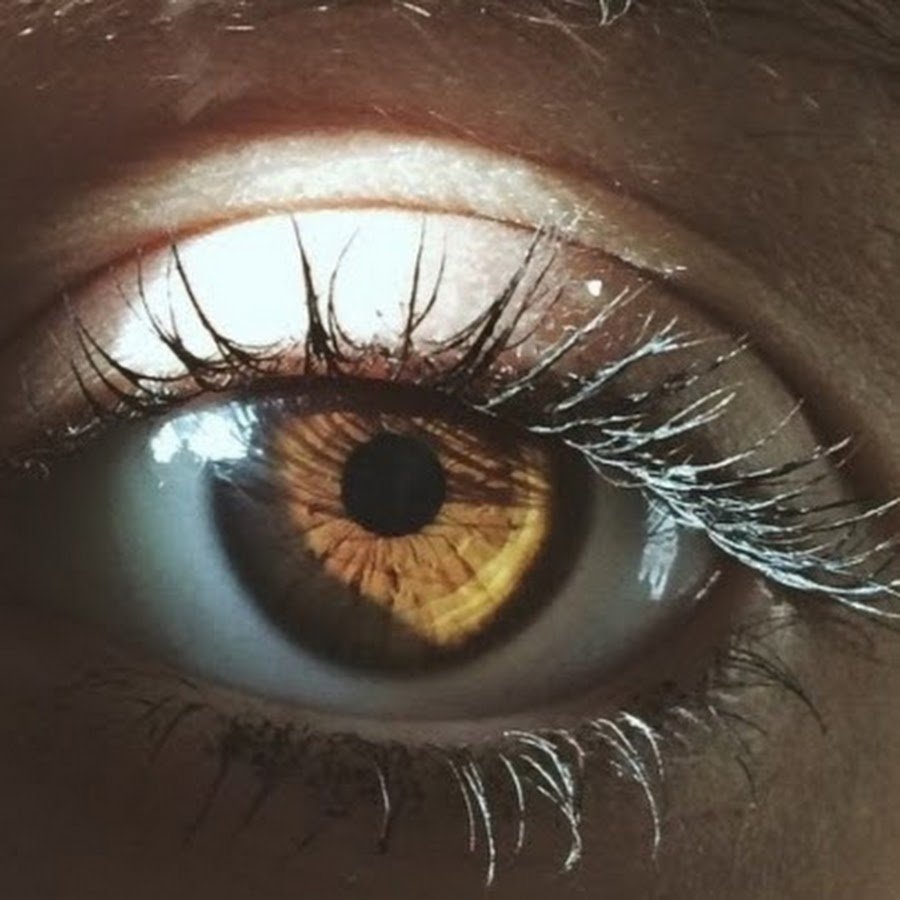 Коричневые глаза