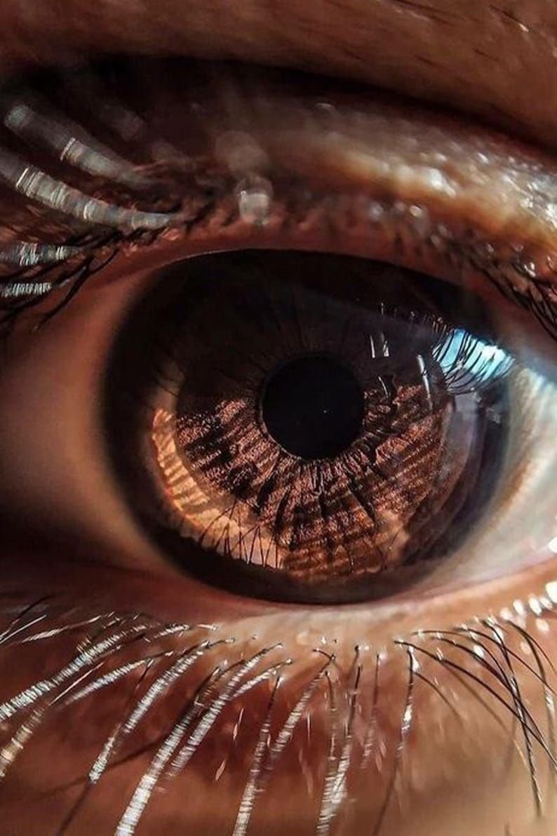 Человеческий глаз фото
