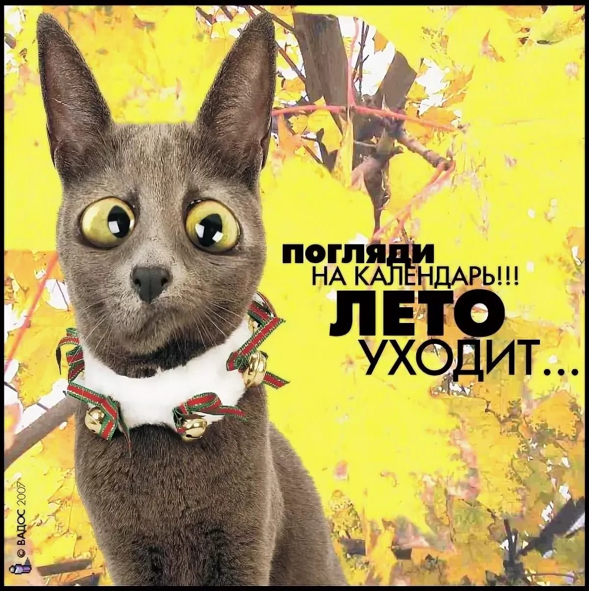 Лето закончилось