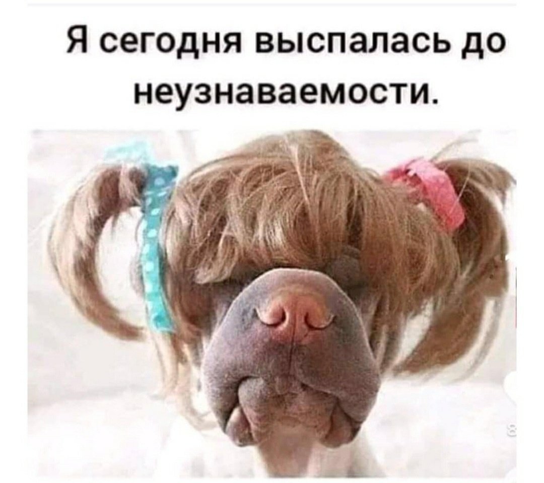 Выспались доброе утро