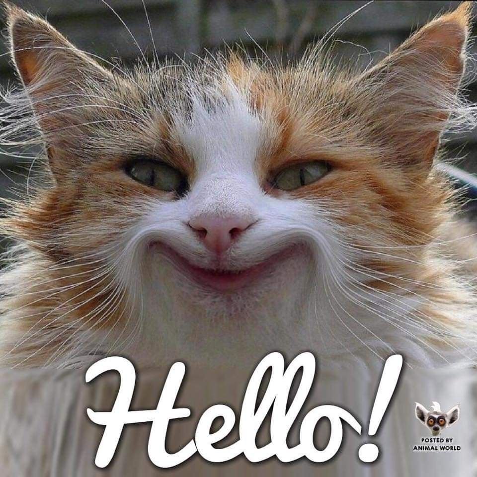 Четверг демотиватор