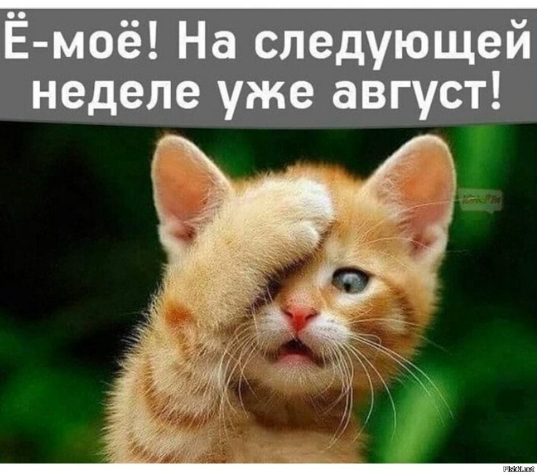 Е мае на следующей неделе уже август