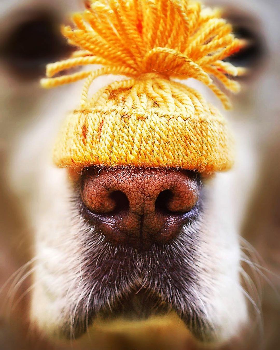 Утепляемся к осени