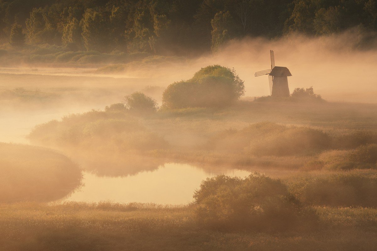 Утро туман Родник