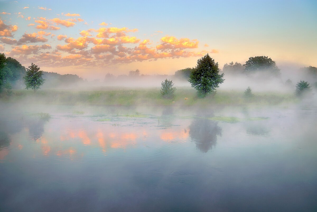 Туман летом