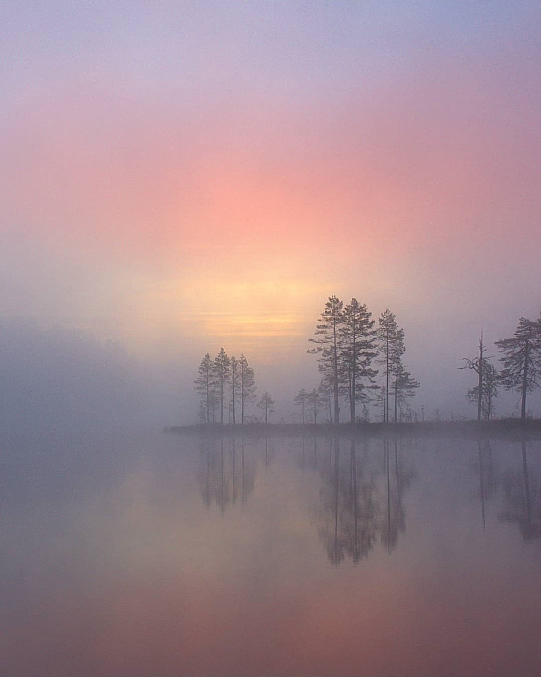 Как утренний туман