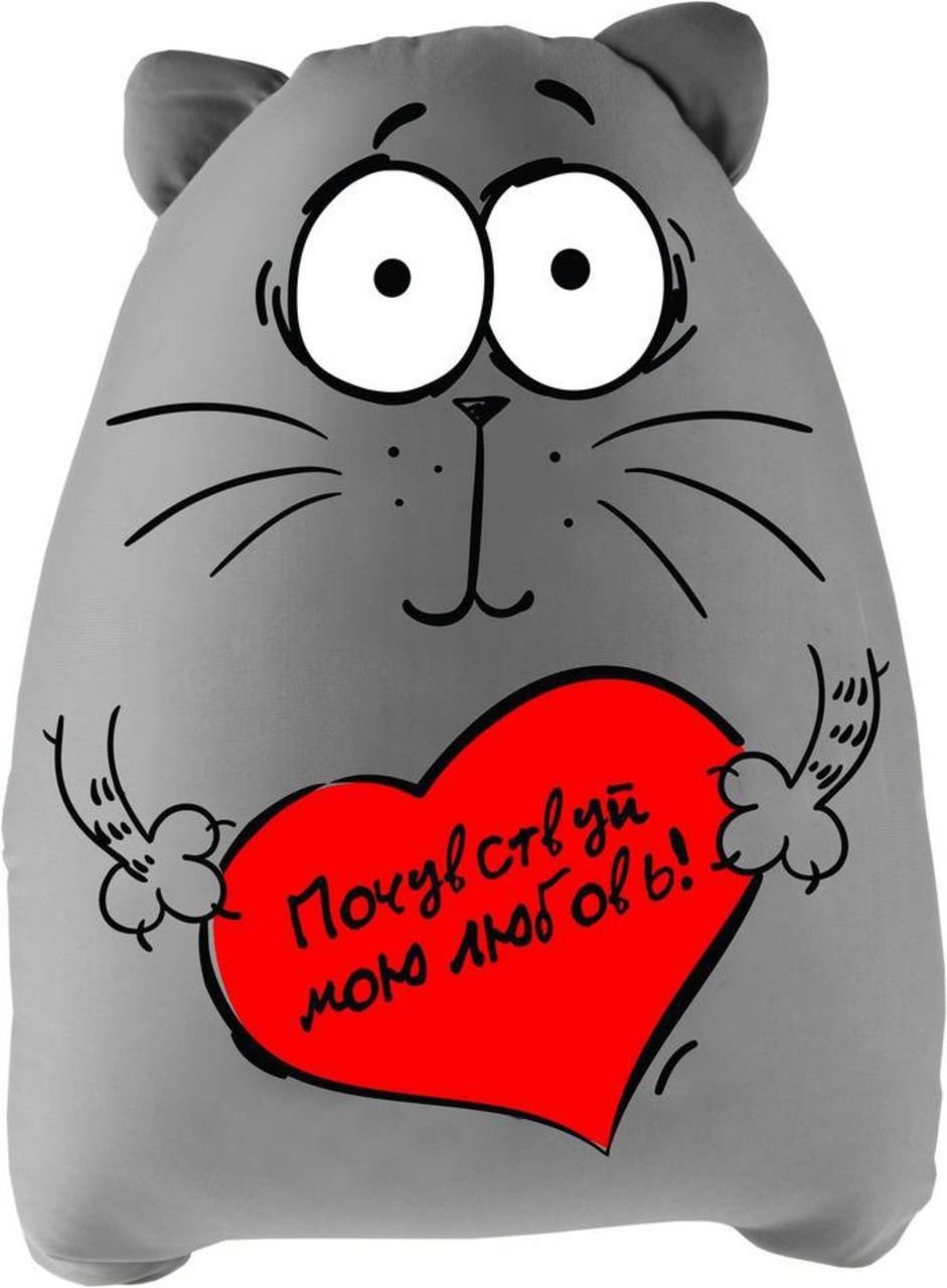 Любимый котик