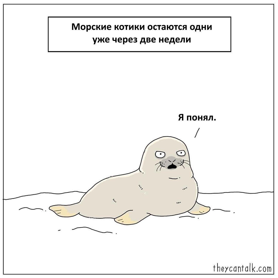 Лень тюлень