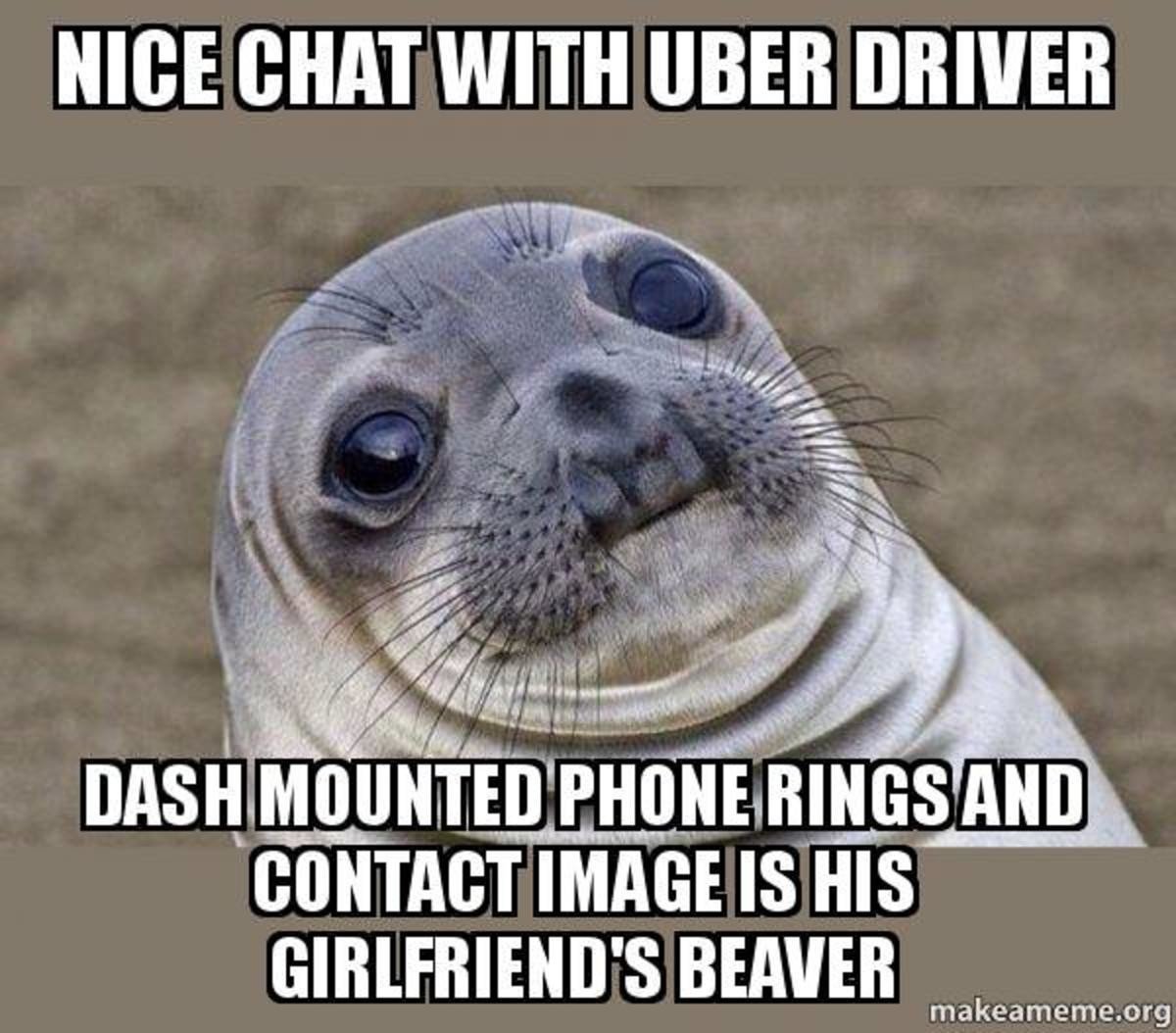 Ленивый тюлень