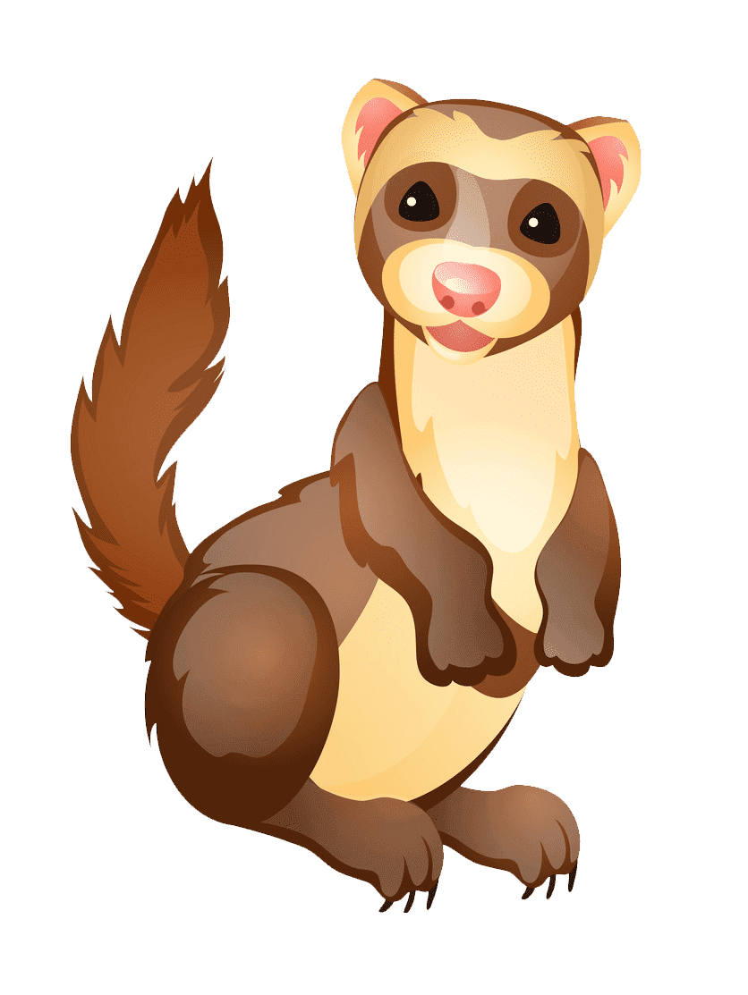 Хорек в профиль