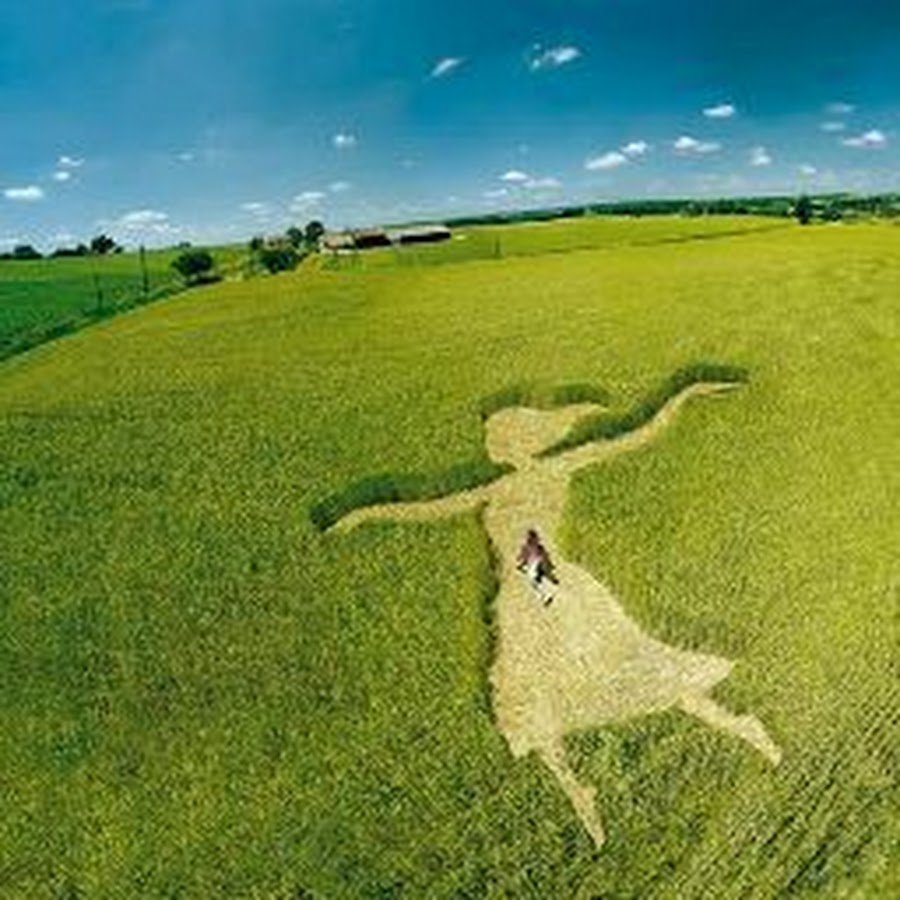 Мотиваторы позитивные смешные