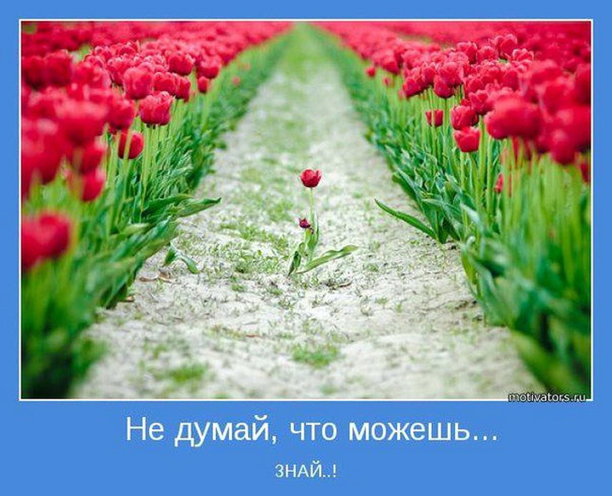 Позитивные мотиваторы для поднятия