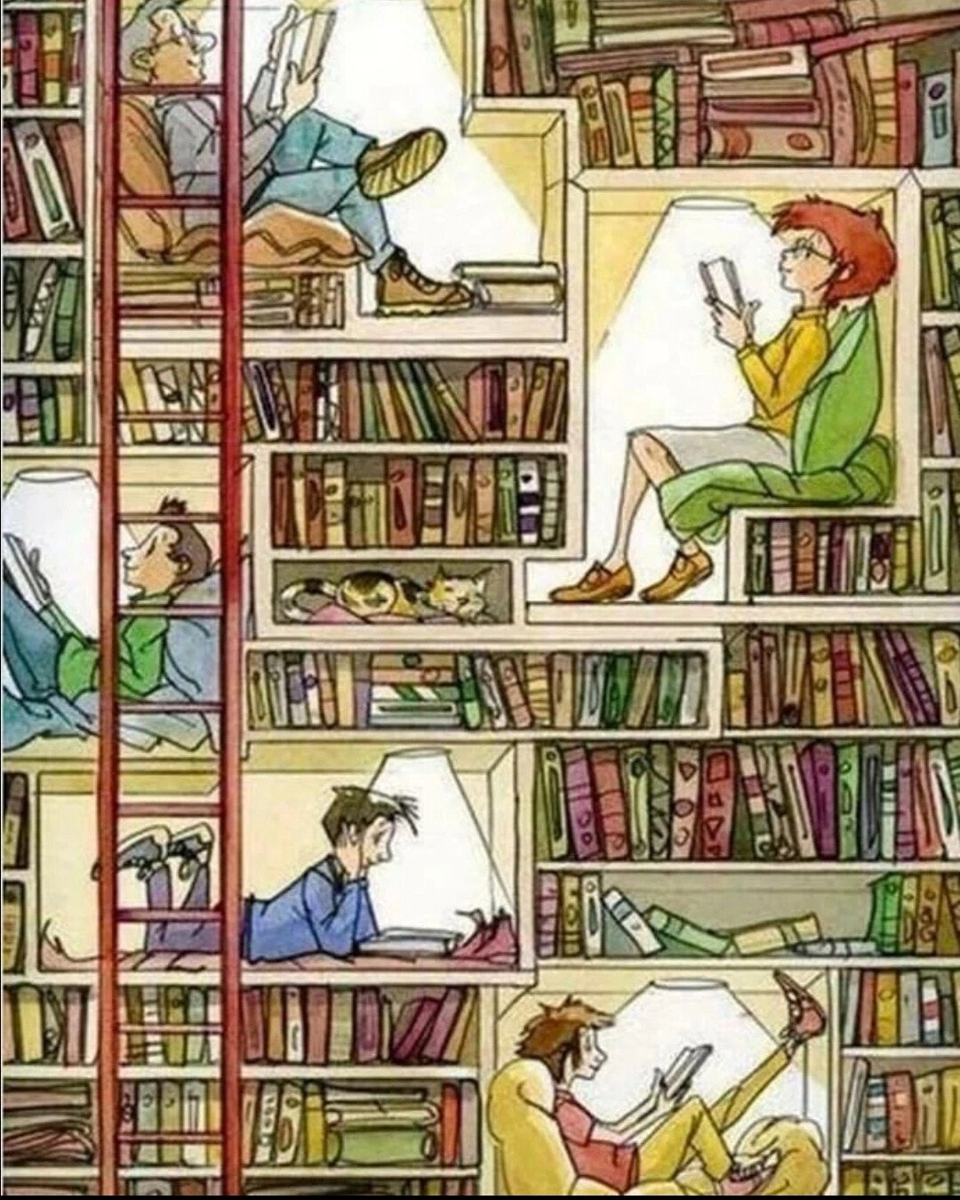 Иллюстрации к книгам