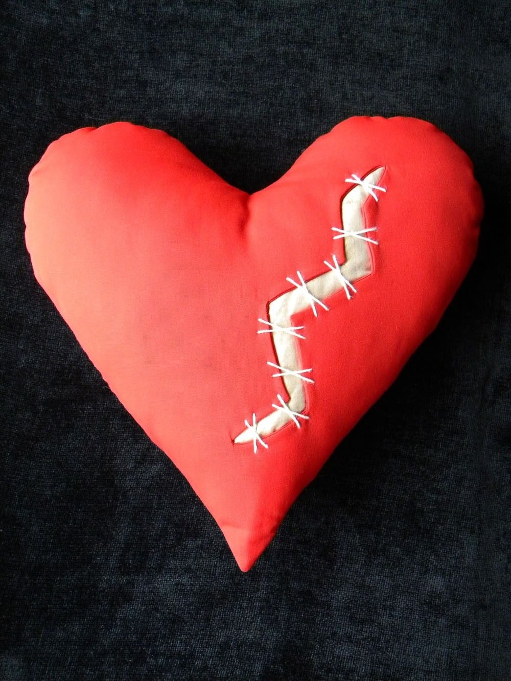 Сердце человека и животного