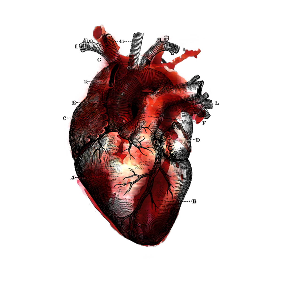 Человеческое сердце в цепях