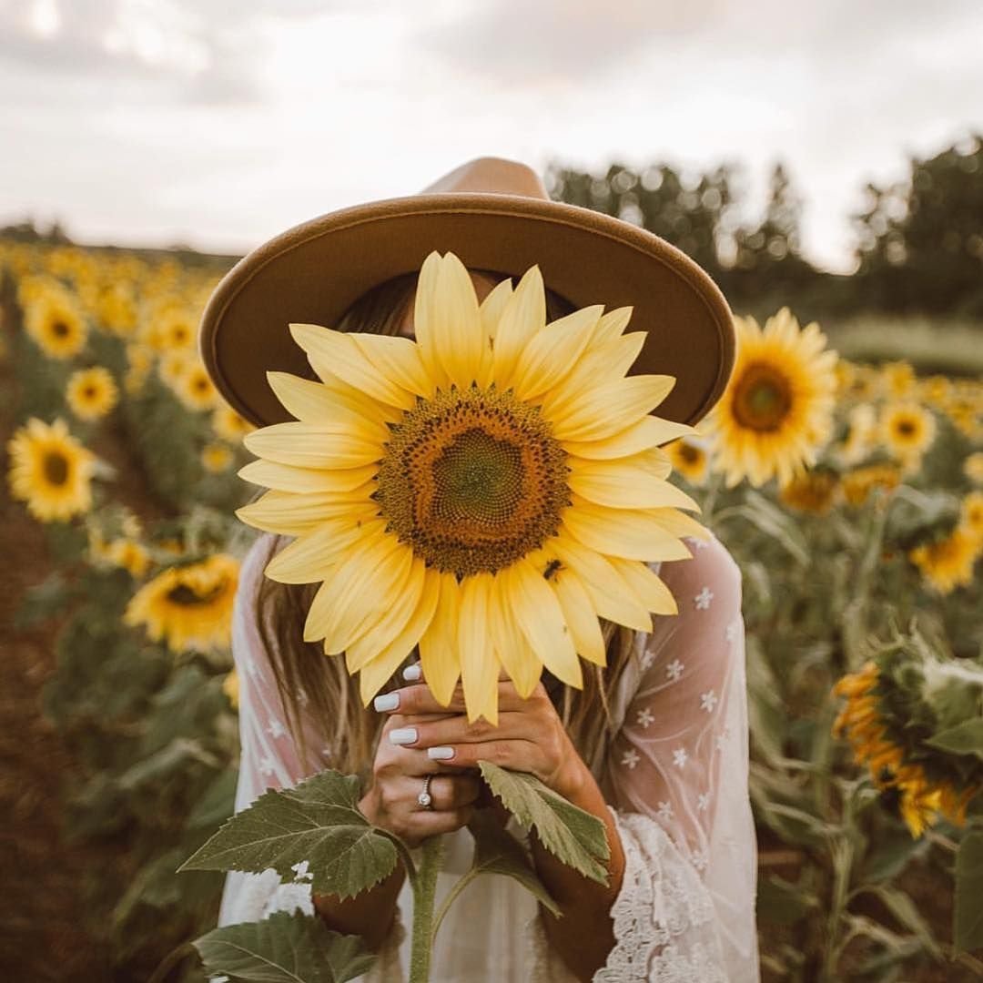 Необычные Подсолнухи