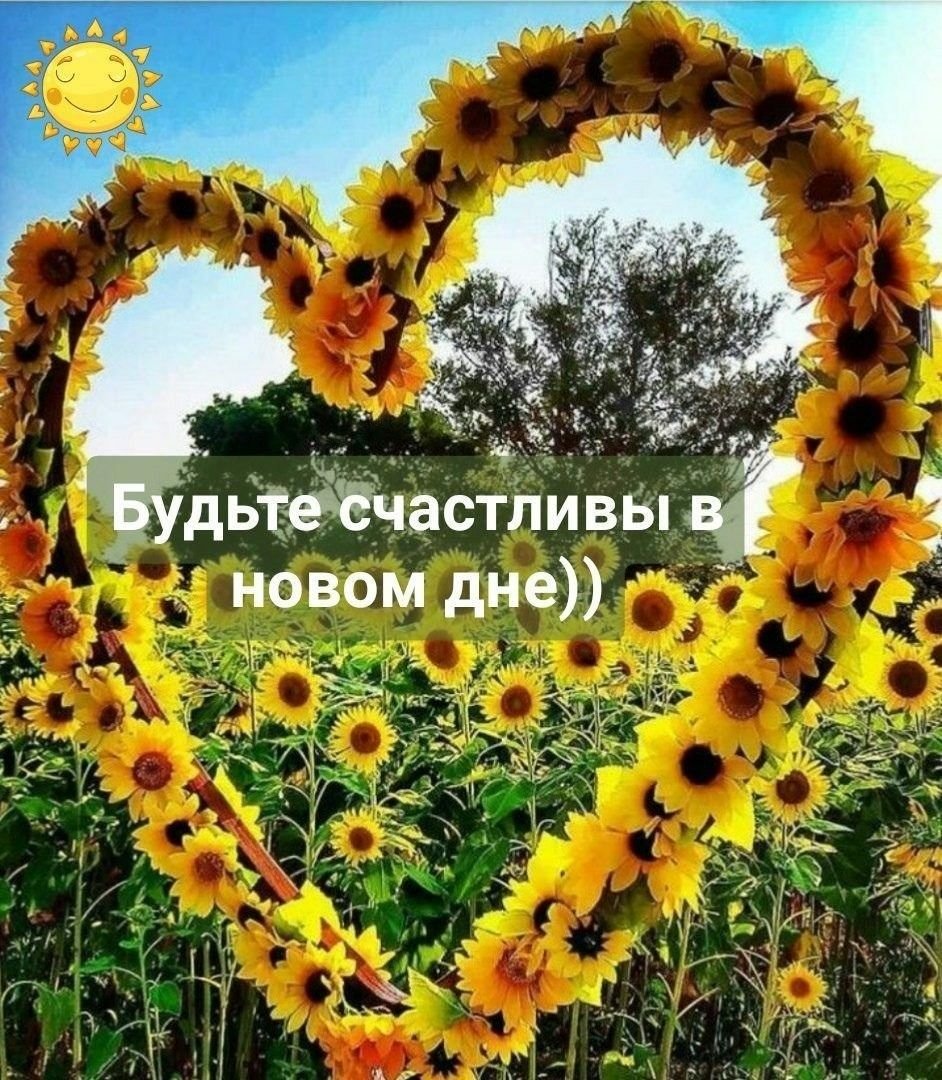 Happy Birthday Подсолнухи