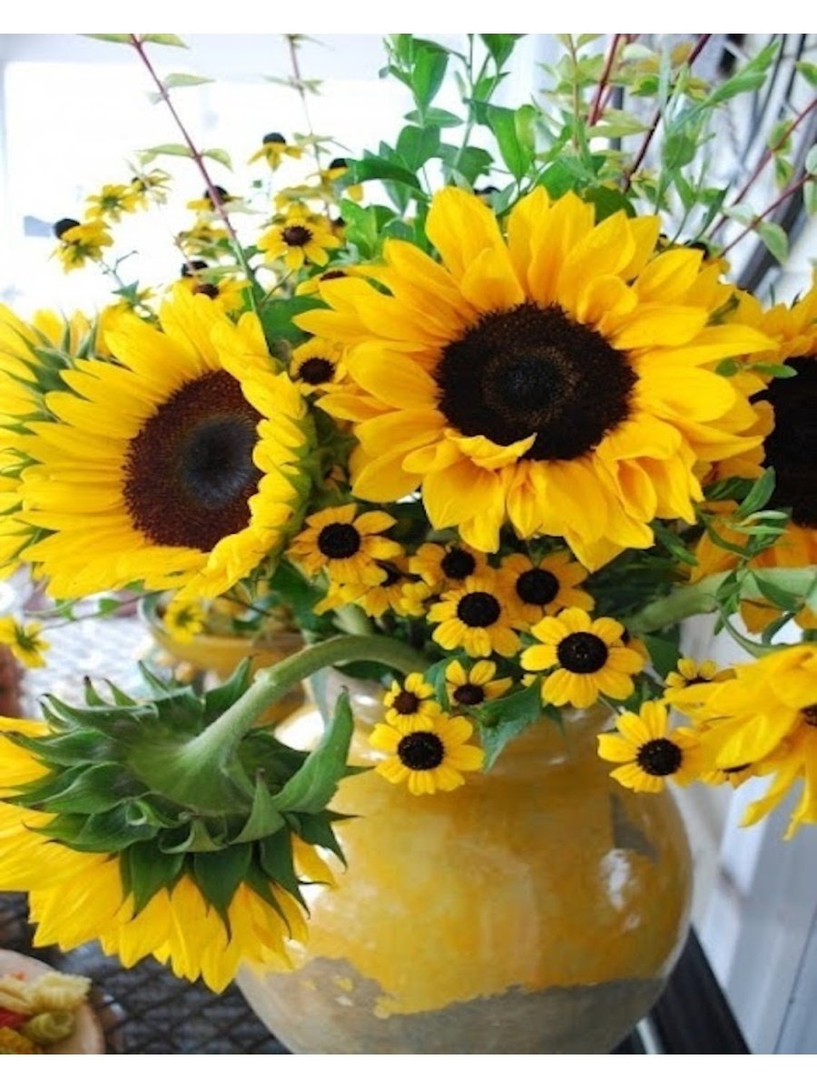 Открытки с подсолнухами