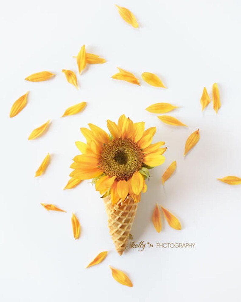 Подсолнух в очках