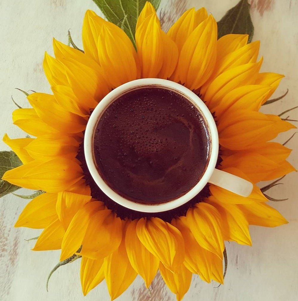 Открытка с подсолнухами с днем рождения