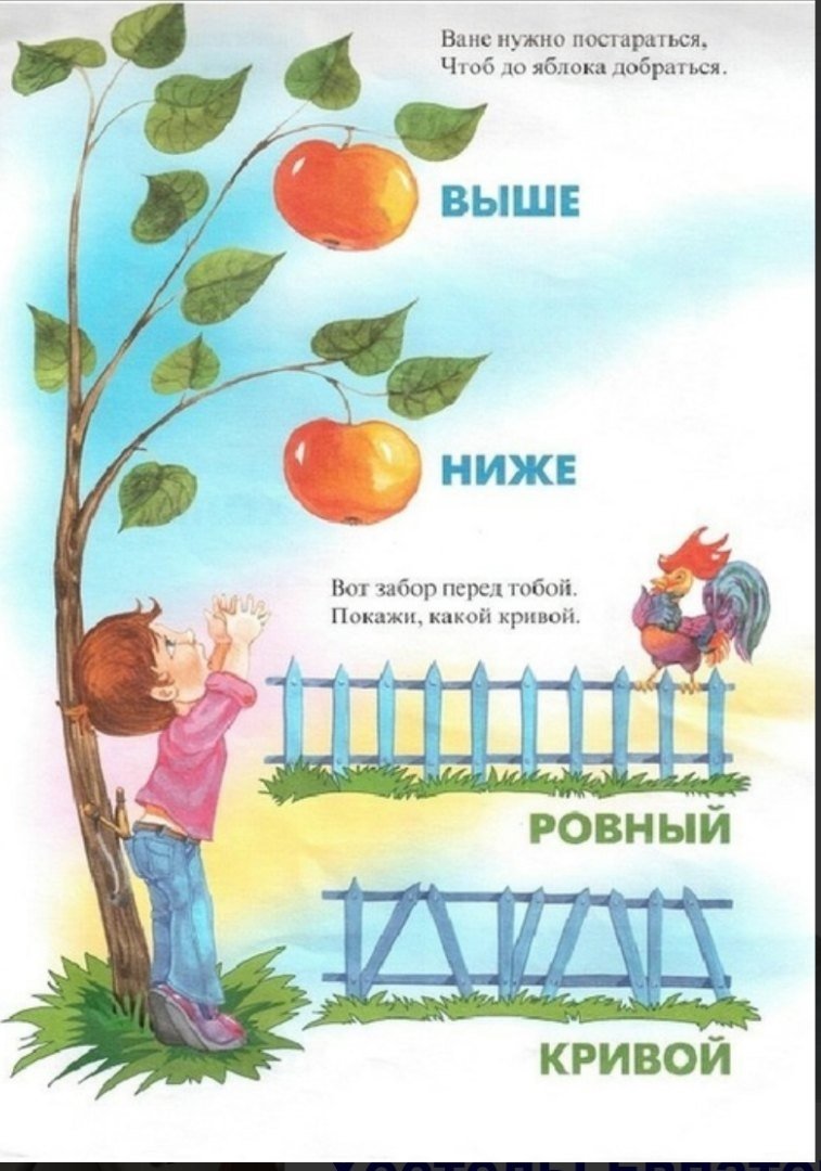 Высокий низкий для детей