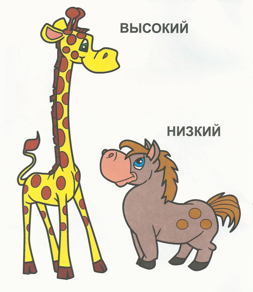 Высокий низкий для детей